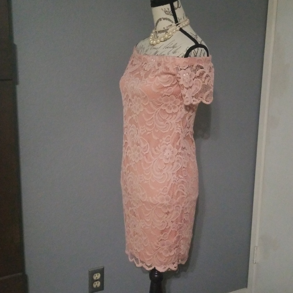 Beautiful Rose Pink Lace Dress NWOT - Picture 6 of 8